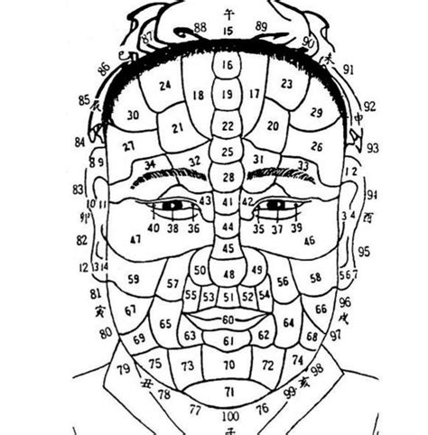 面相流年图